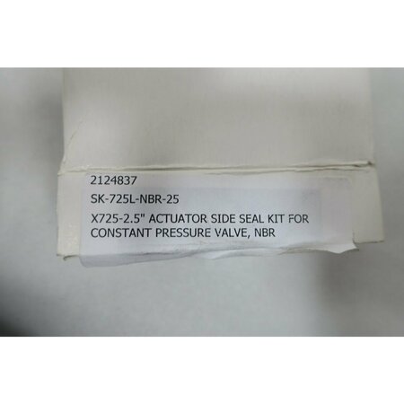Pentair X725-2.5 ACUTATOR SIDE SEAL KIT VALVE PARTS AND ACCESSORY SK-725L-NBR-25